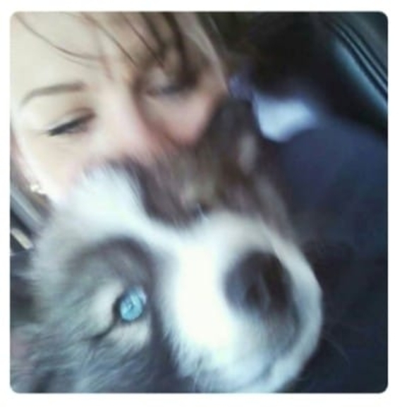 Meet your Posher, Dawn - Picture 1 of 1